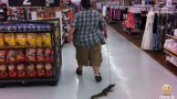 peopleofwalmart.com