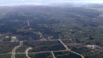 Charred ground in El Paso County, Colo.