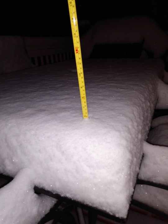 Almost 10" of snow Tuesday night in Castle Rock