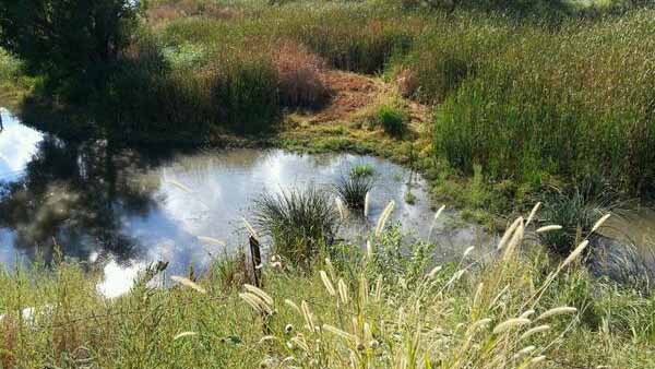 The South Platte River, just seven miles south of Julesburg, was expected to flood by 9 p.m. on Sept. 17, 2013.