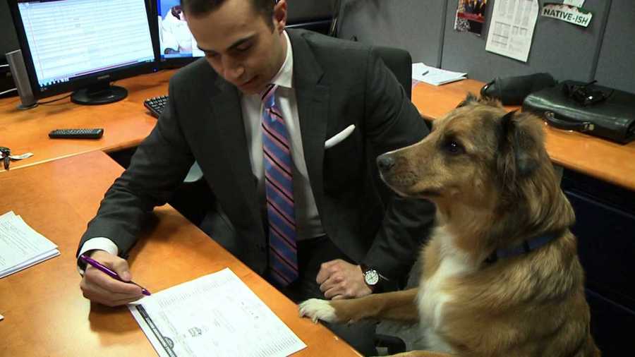 FOX31 Denver anchor/reporter Boris Sanchez gets expert help filling out his NCAA bracket