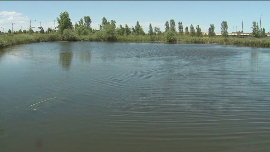 Pond in Denver's Stapleton development