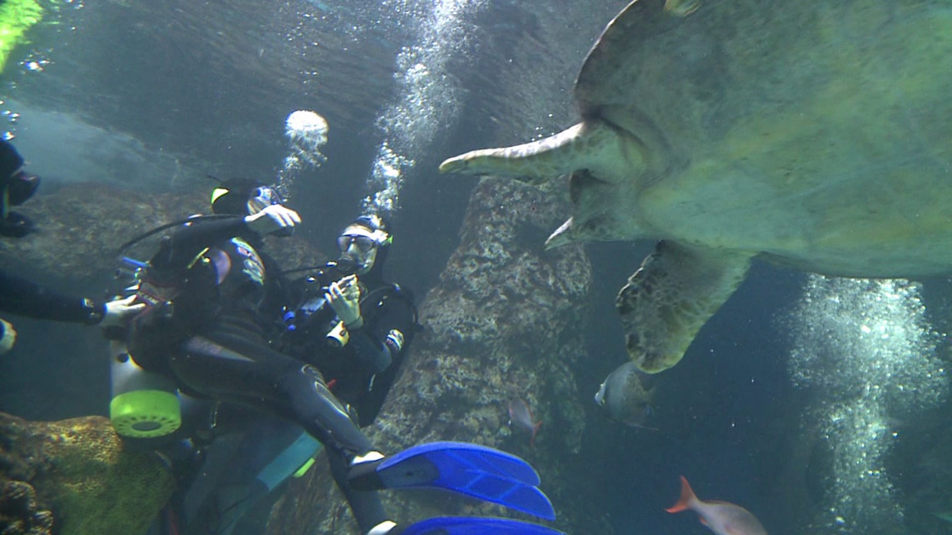 Martha Loats, 90, goes scuba diving