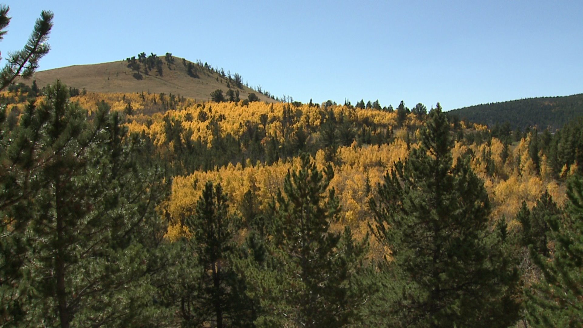 Fall colors near the Continental Divide along the Peak to Peak Highway in Colorado