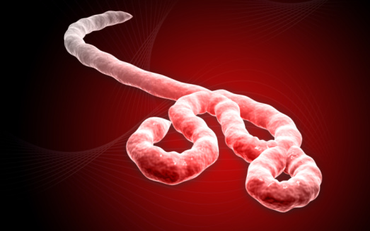 Ebola virus. (Photo: Thinkstock)