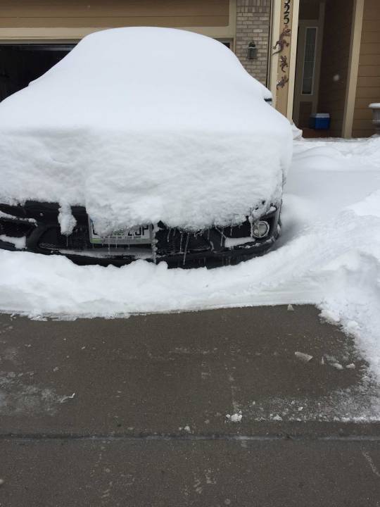 Buried car. Photo: Sylvia Steck