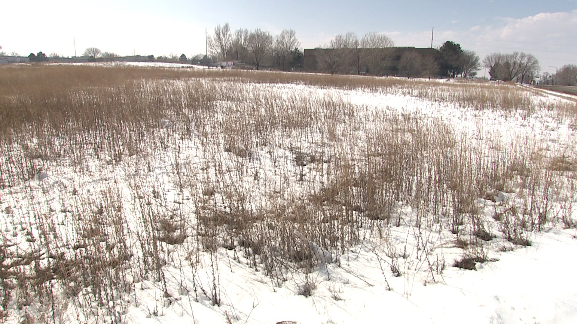 Land for school's future playground in Thornton, Colo.