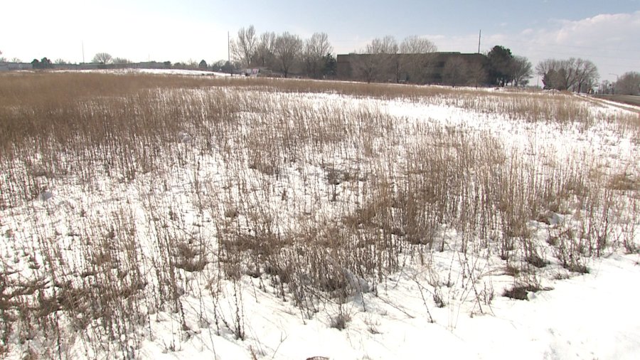 Land for school's future playground in Thornton, Colo.