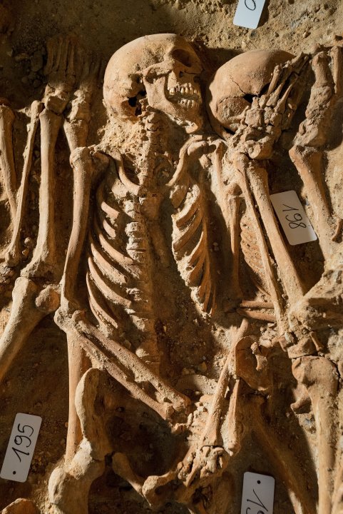 Workers digging underneath a Paris supermarket found as many as 200 skeletons. The skeletons were found as workers were doing renovations to the store in January, 2015.