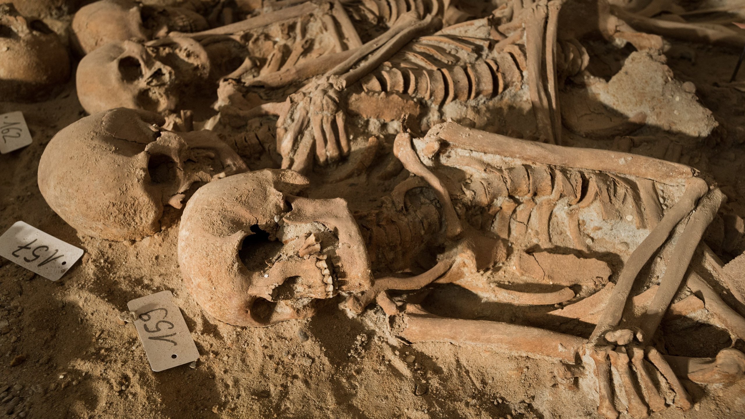 Workers digging underneath a Paris supermarket found as many as 200 skeletons. The skeletons were found as workers were doing renovations to the store in January, 2015. (Photo: CNN)