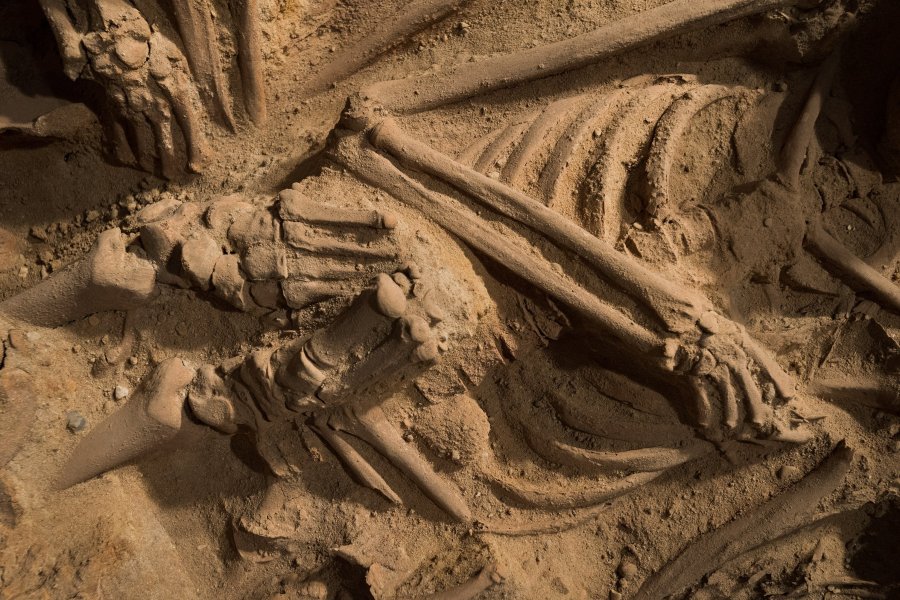 Workers digging underneath a Paris supermarket found as many as 200 skeletons. The skeletons were found as workers were doing renovations to the store in January, 2015. (Photo: CNN)