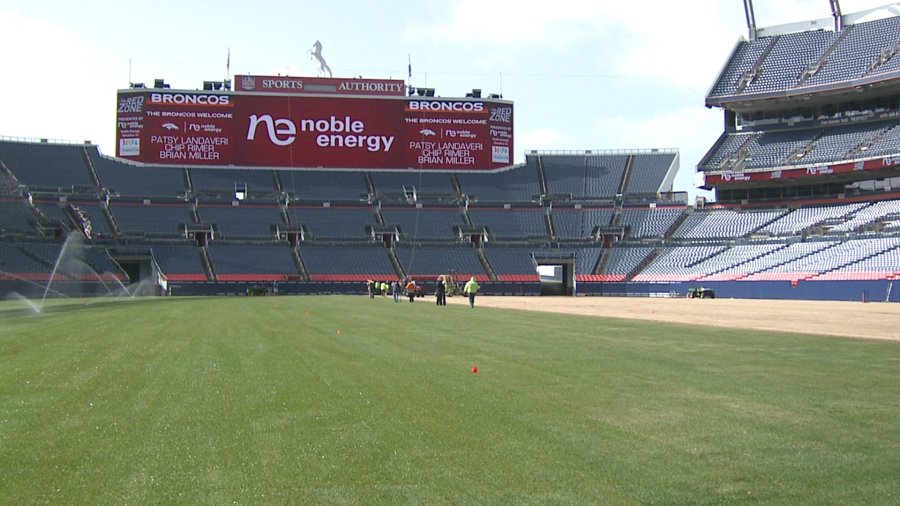 New surface at Sports Authority Field at Mile High in Denver