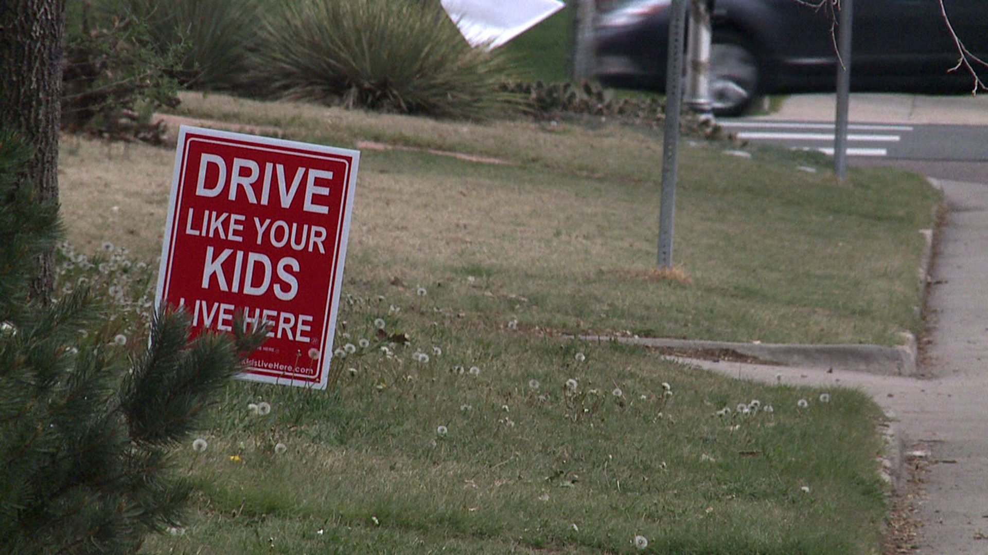 Drive Like Your Kids Live Here sign in Denver neighborhood