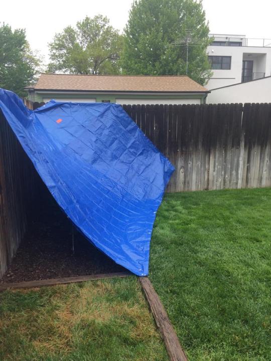 As we wait for an impending 4-10" of snow in Denver, this is what my garden now looks like. (Photo: Heather Mills)