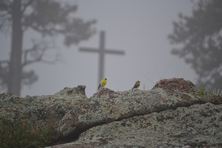 Behind the scenes look of the Abbey of St. Walburga in Virginia Dale, Colo. (Photo: Kevin Torres)