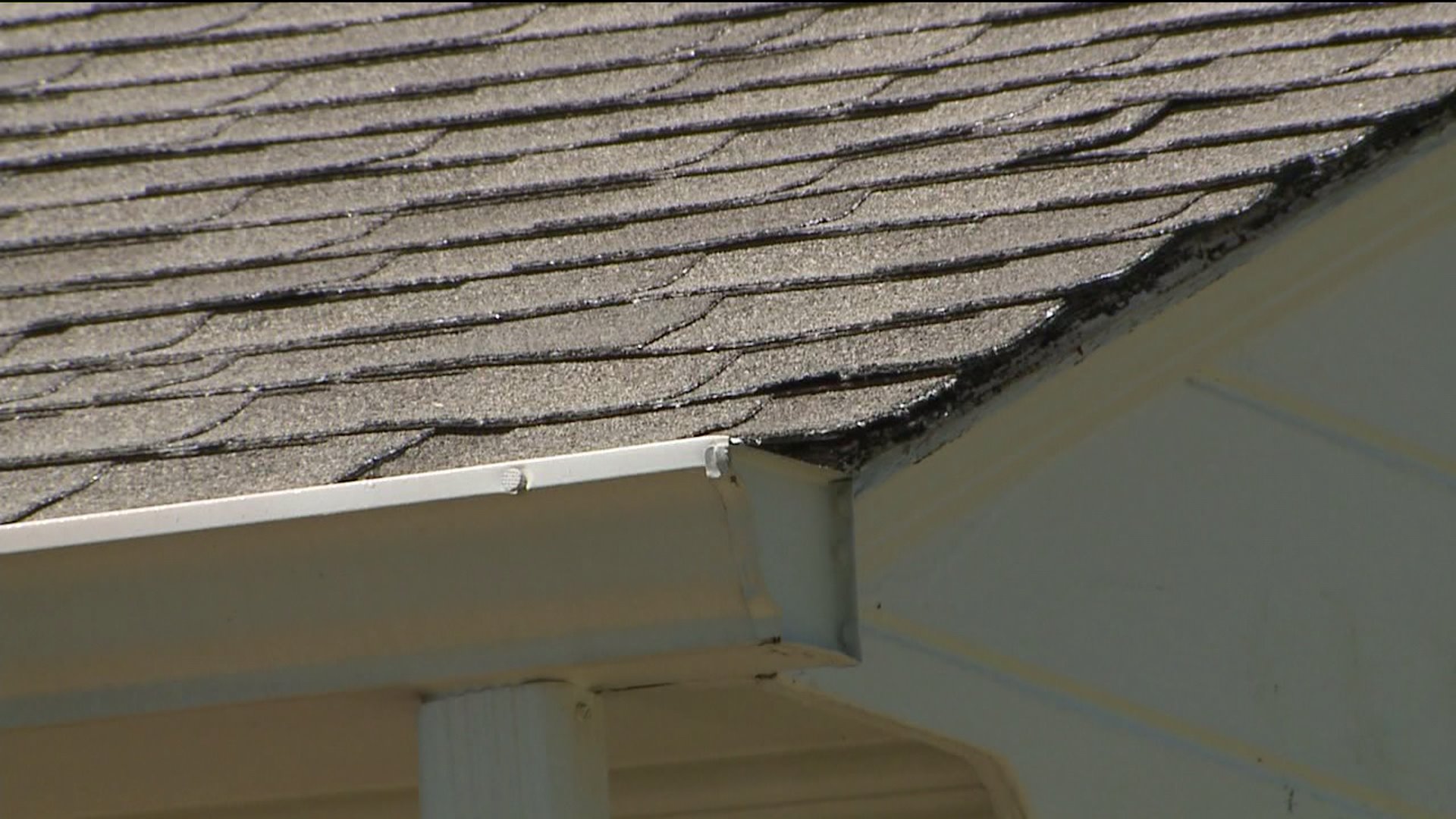 Hail-damaged roof