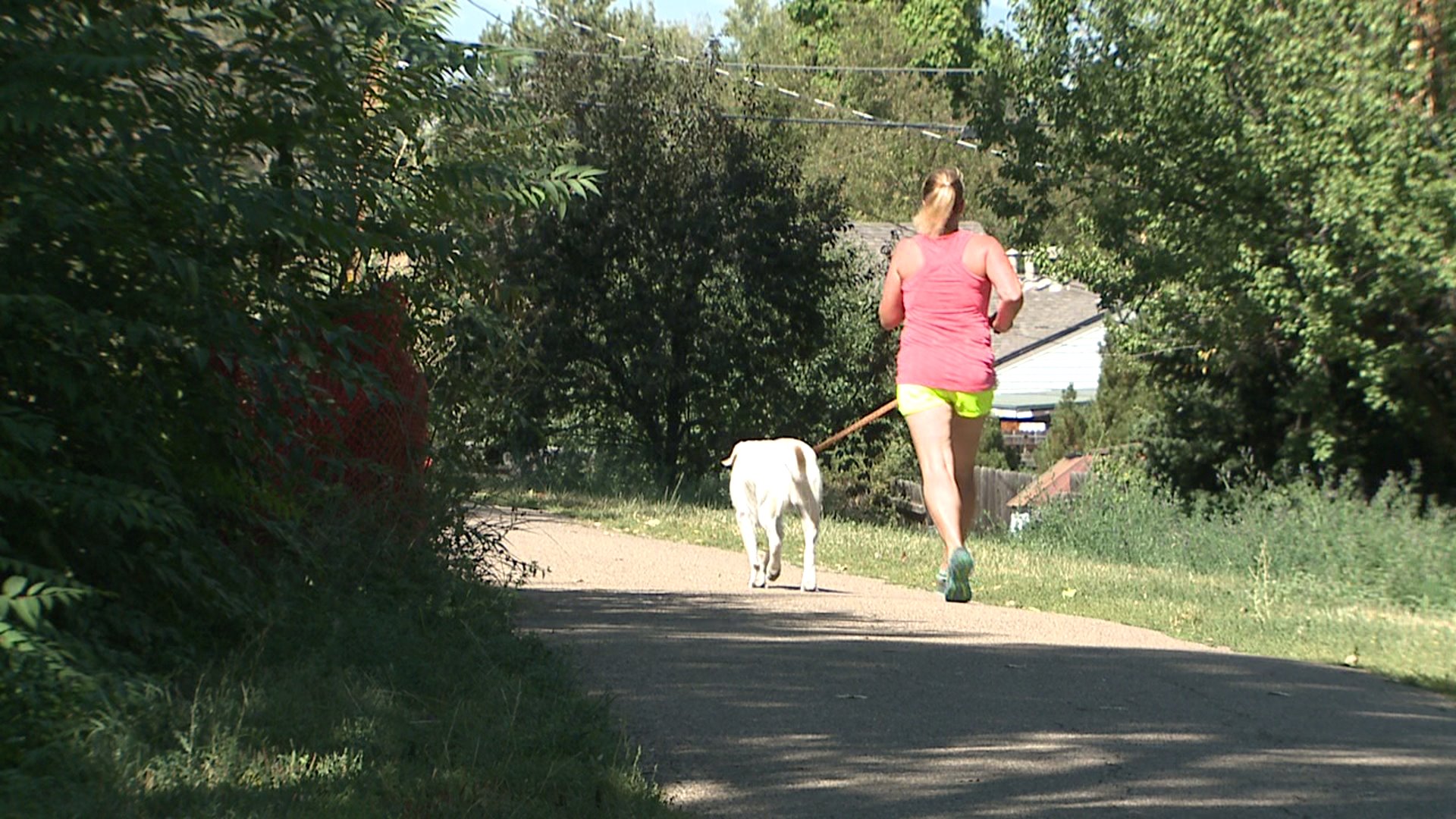 Jogger runs with dog on an outdoor trail