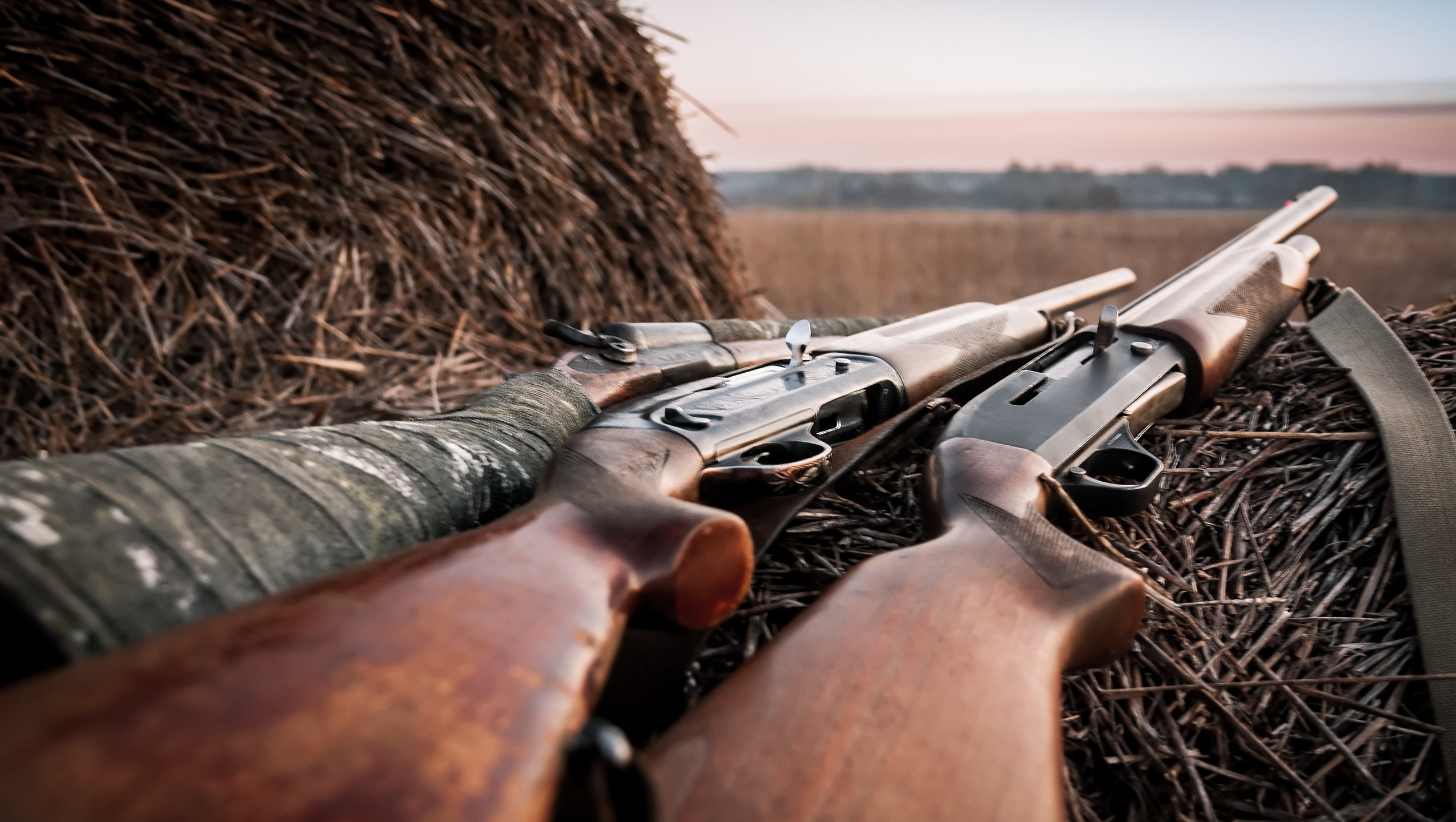 Hunting shotguns on haystack while halt during sunrise, soft focus on shutgun butt. Main focus is on breech block