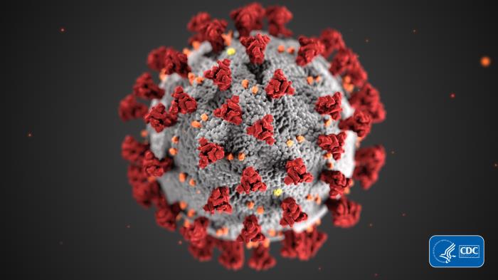 This illustration, created at the Centers for Disease Control and Prevention (CDC), reveals ultrastructural morphology exhibited by coronaviruses.