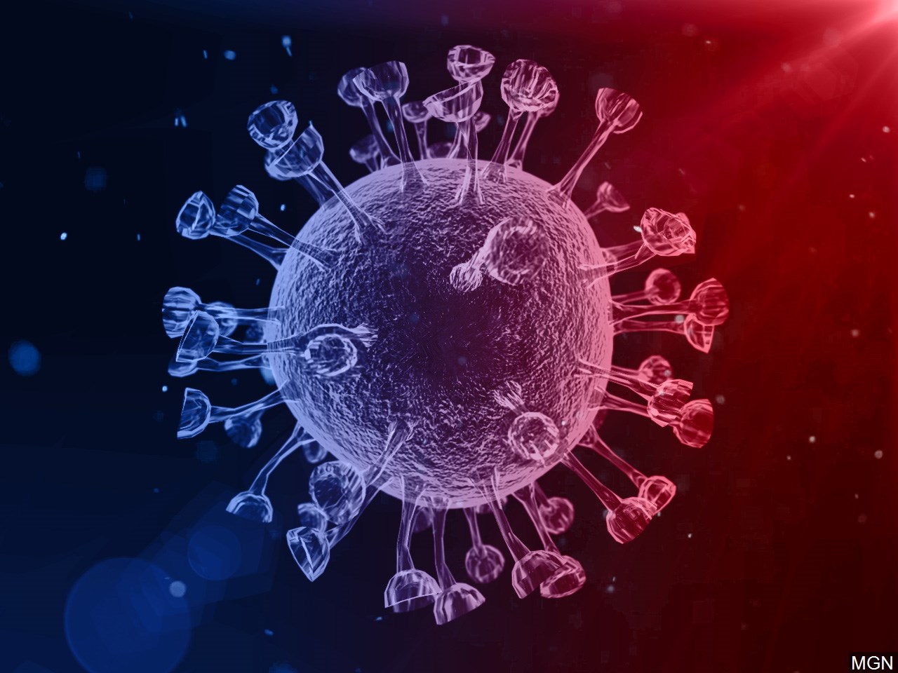 A computer-generated image of the coronavirus.