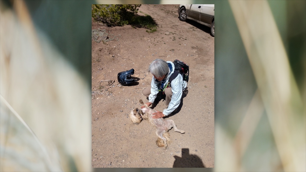 woman reunited with her lost dog