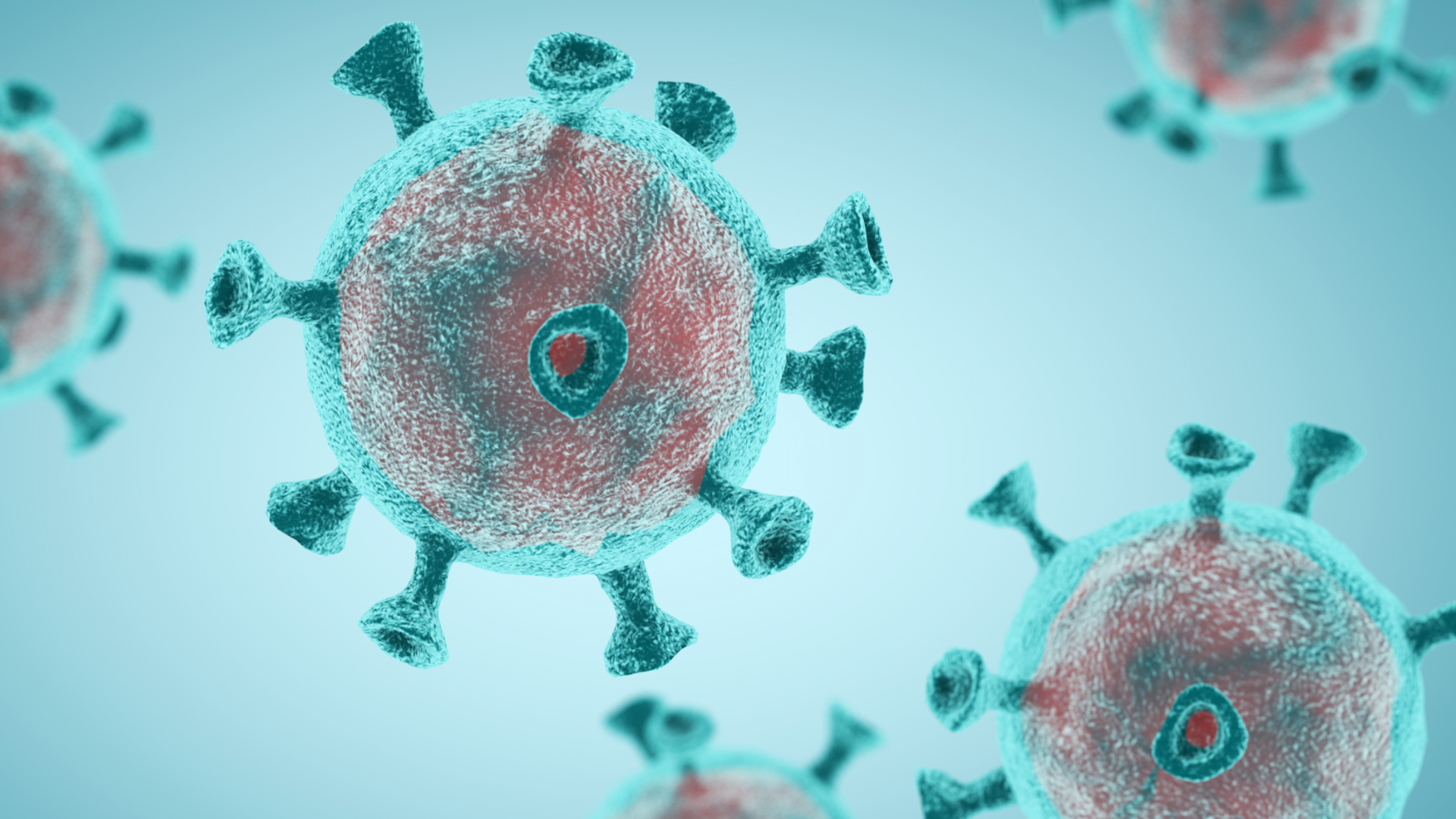 A rendering of the coronavirus.