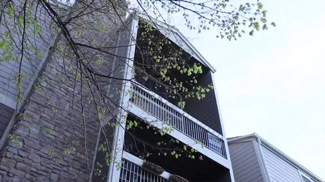 A tall, budding tree in front of an apartment complex facade