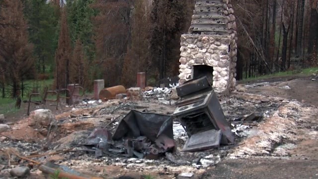 A charred stove on a charred structure foundation with a chimney standing alone and the forest in the background