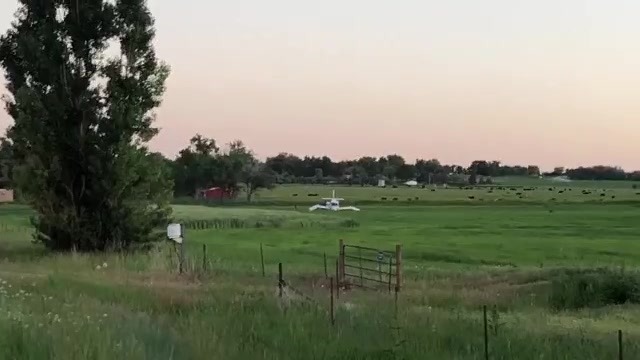 Small plane in a wide open, green field, near desk