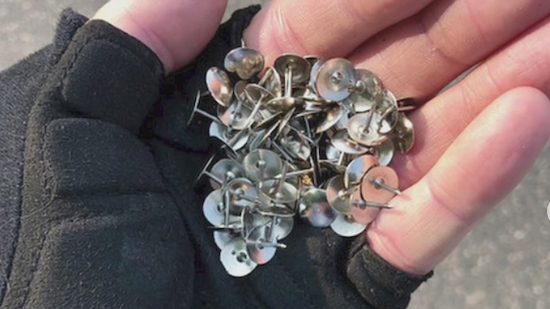 Silver thumbtacks in a gloved hand