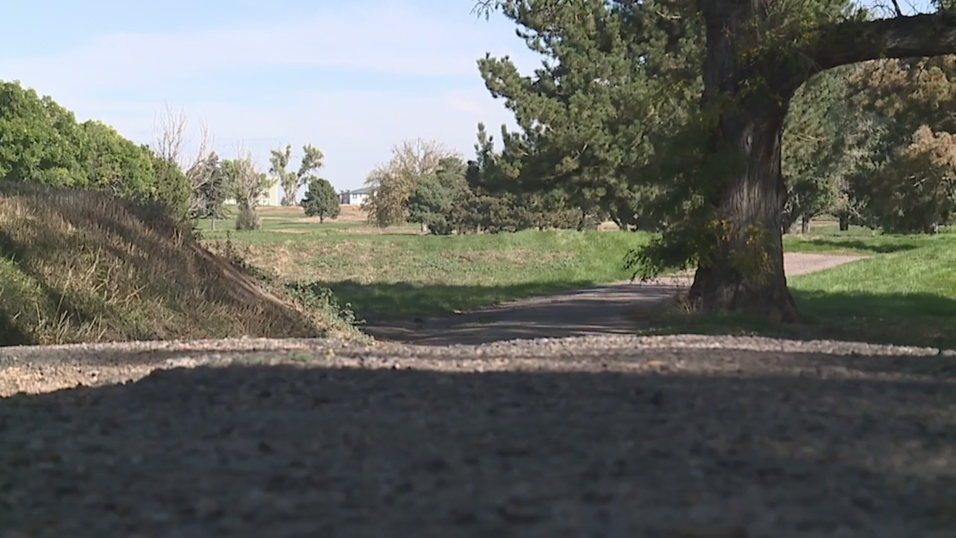 An unmaintained golf course in daytime