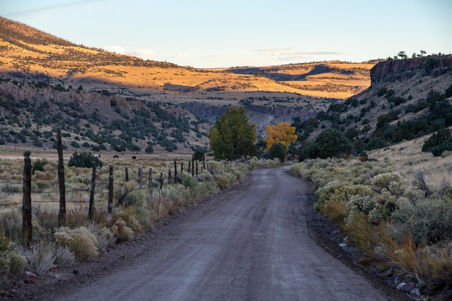 Saguache County property