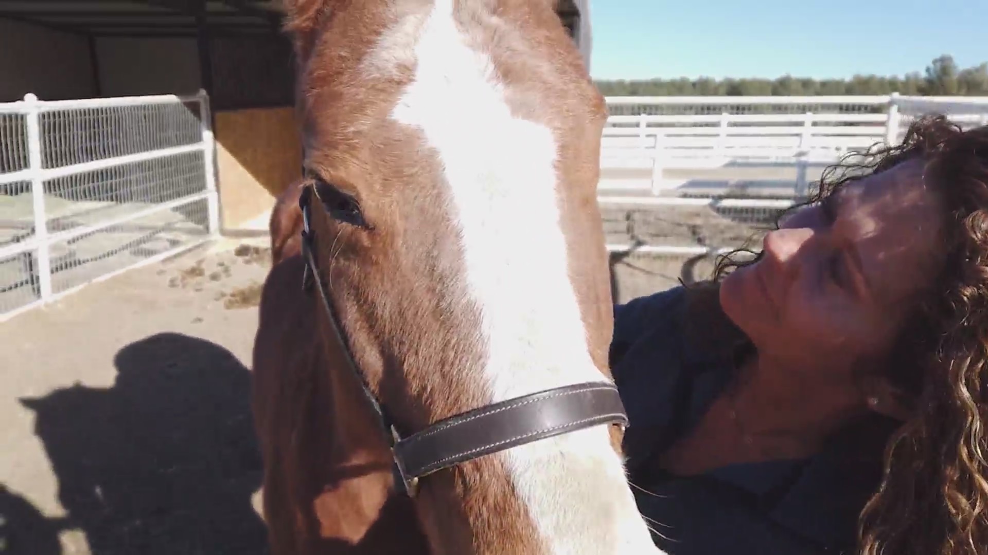 Close-up of a horse's face with Mimi Kuchman close in