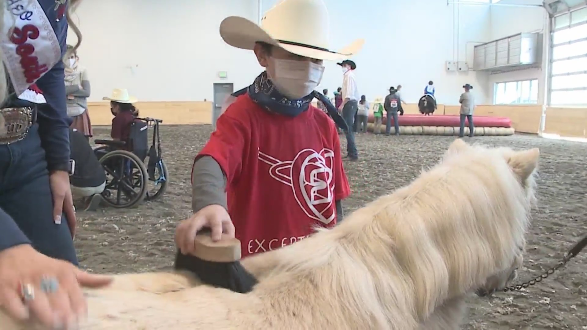 A child brushes a pony at the Exceptional Rodeo