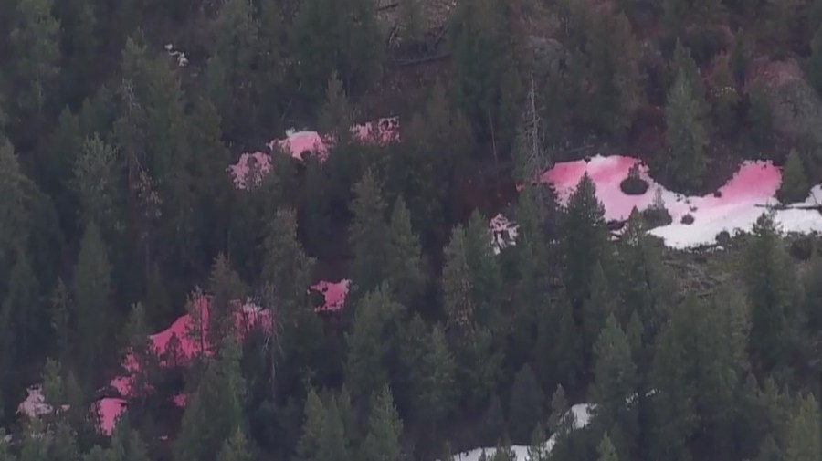 Area around fire near Estes Park