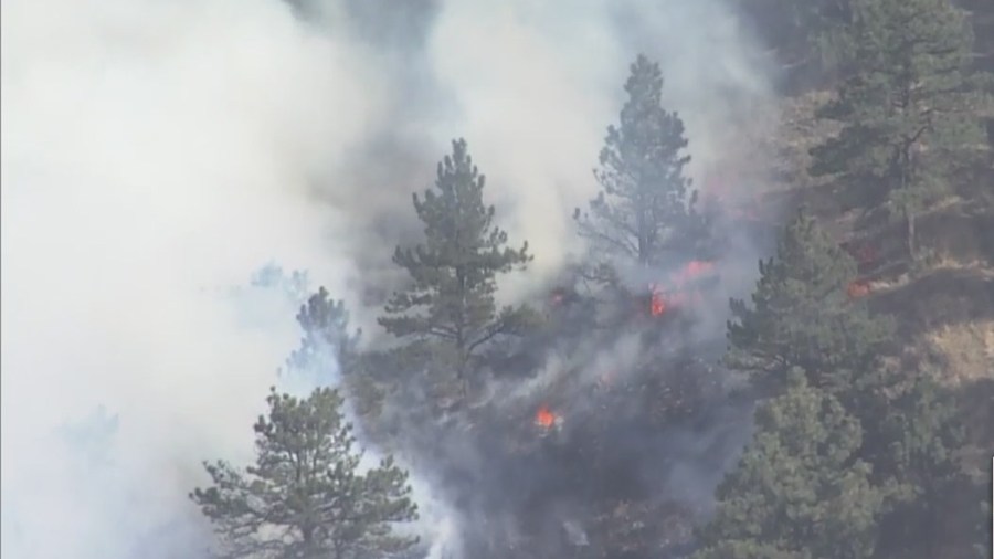 Flames from wildfire burning in Larimer County