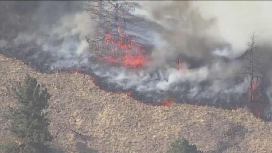 Large wildfire burning in Larimer County