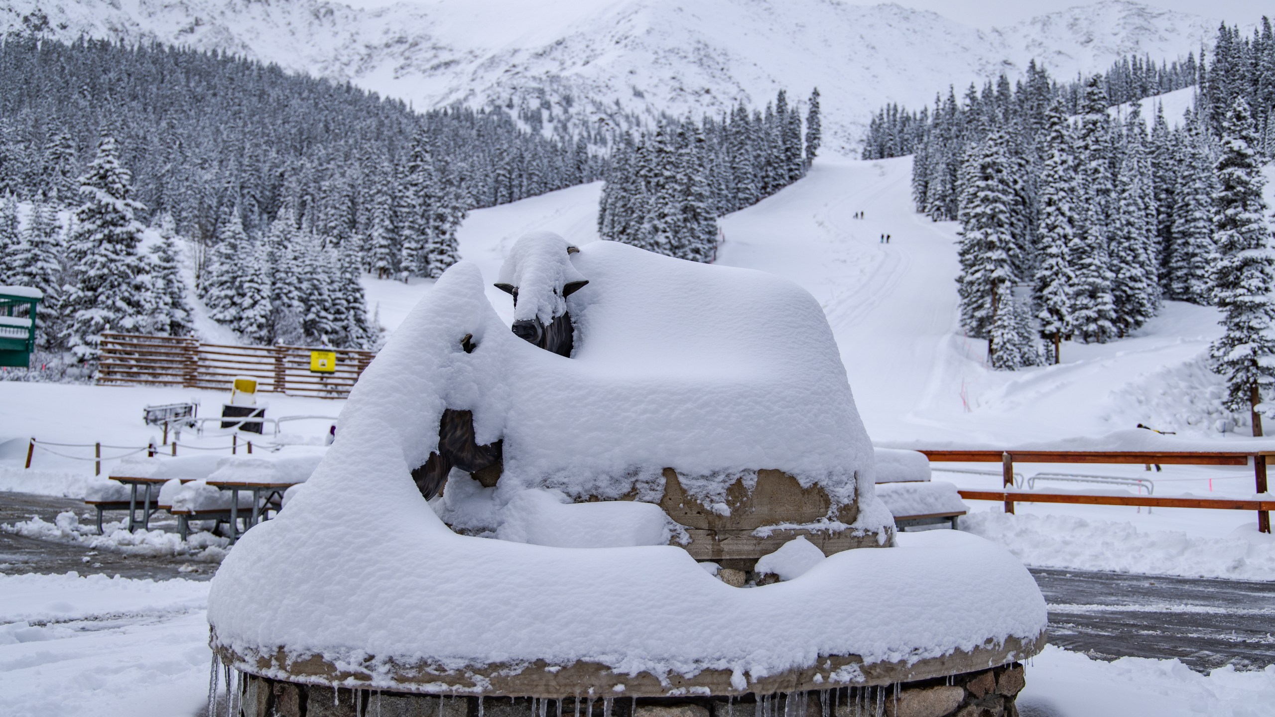 Arapahoe Basin got dumped on with fresh powder