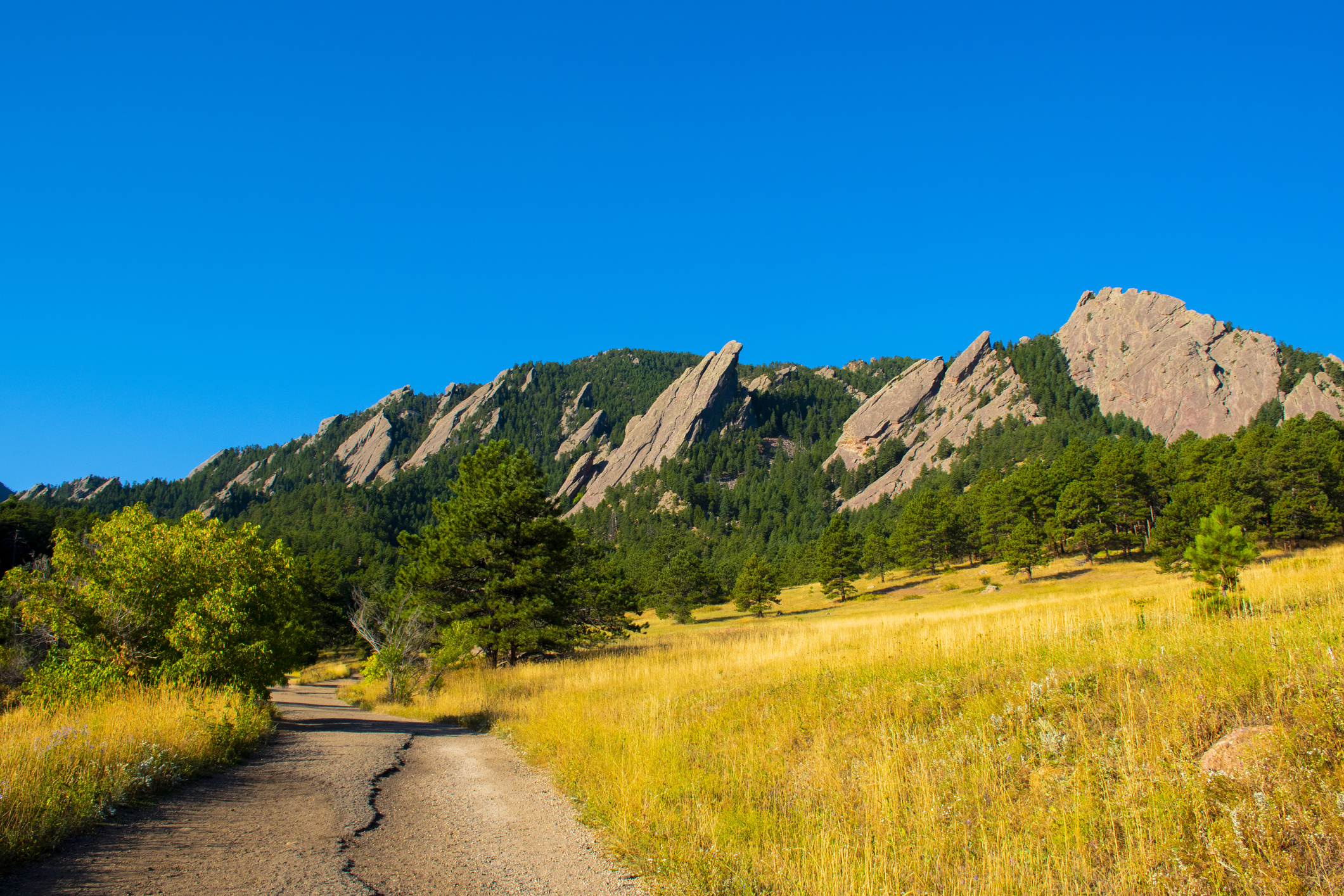 The Flatirons in Chautauqua Park