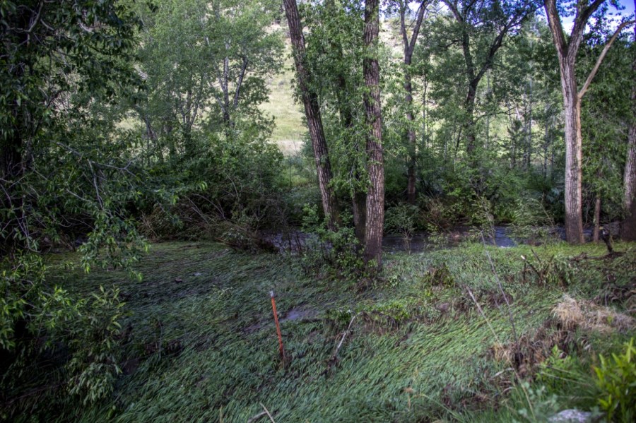 Damage day after deadly Cameron Peak burn scar area flash floods