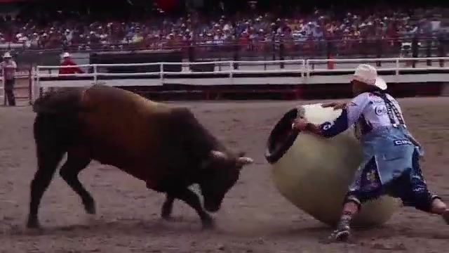 Cheyenne Frontier Days bull and clown