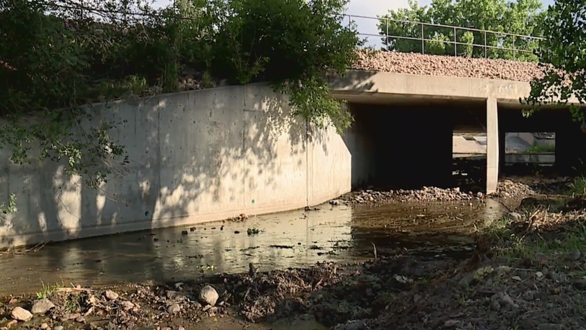 Diesel soils Bear Creek in Lakewood