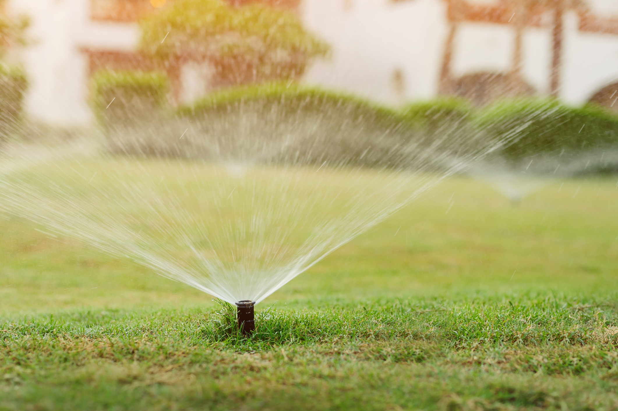 Automatic garden lawn sprinkler in action watering grass