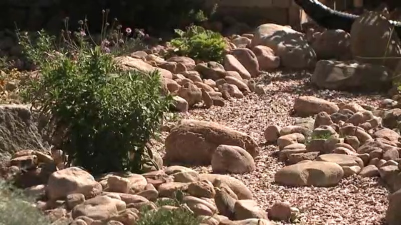 Xeriscaping saves water