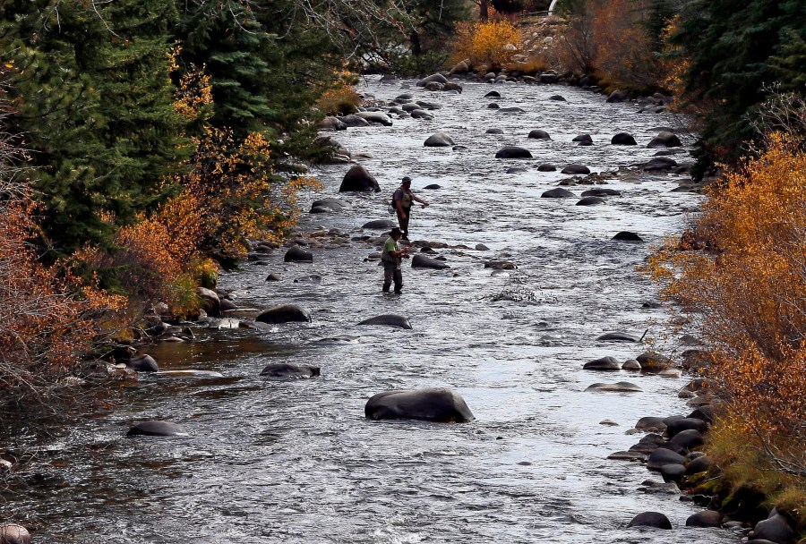 Fishermen cast their lines in Clear Creek