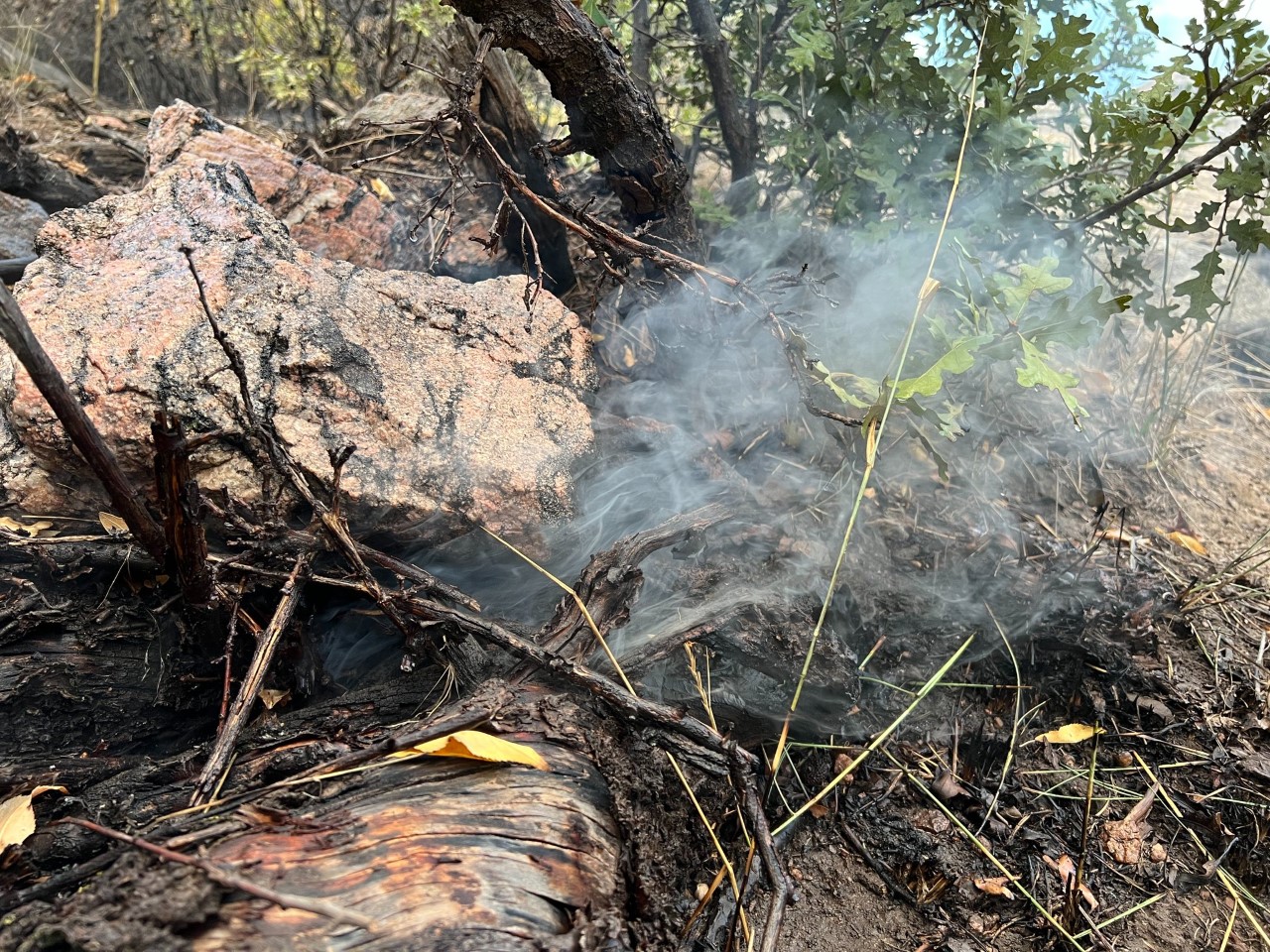 Waterton Canyon wildfire