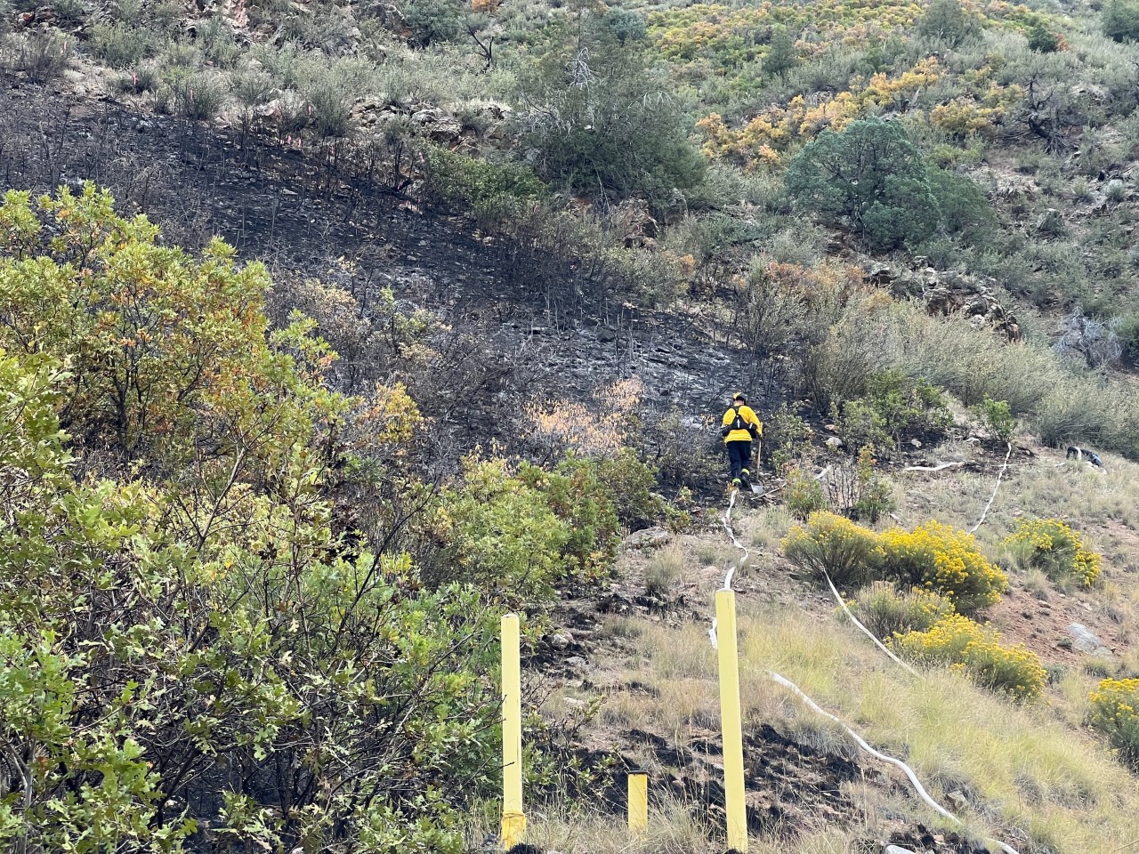 Half acre wildfire caused by rodents in Waterton Canyon