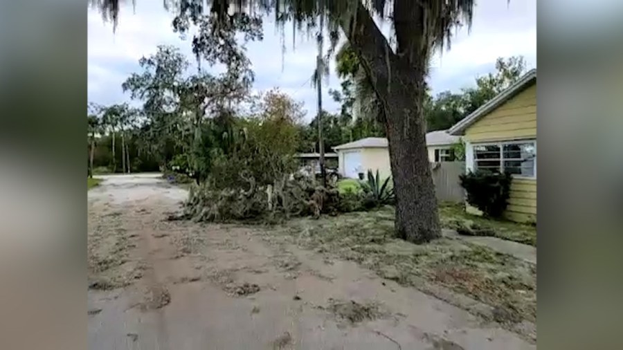 Downed tree branches line a neighborhood street