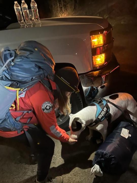 Dog rescued after getting altitude sickness