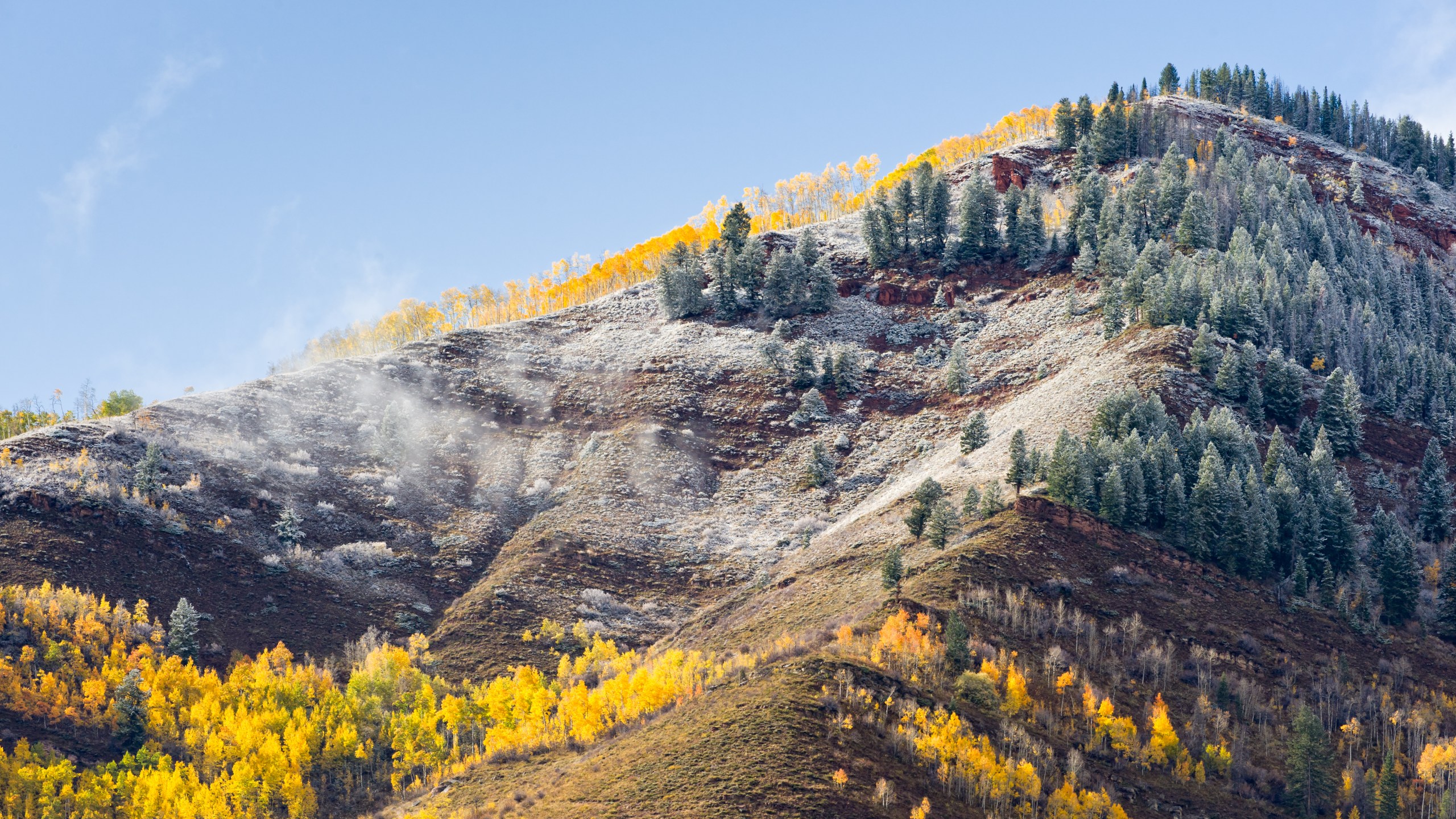 Frost on Colorado mountains